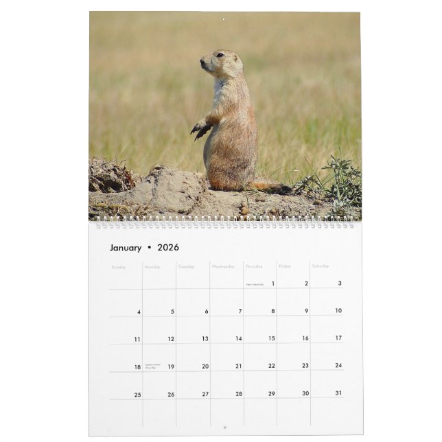 Der schwarzschwanzige Kalender des Präriehund-2015 (Jan 2026)