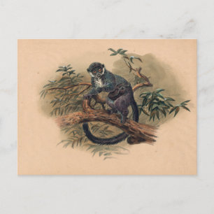 Der Schwarzstirn-Maki von Joseph Wolf Postkarte