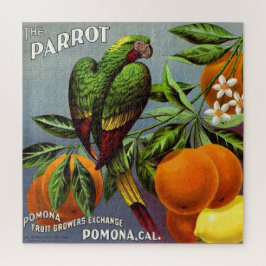 Der sehr grüne Papagei