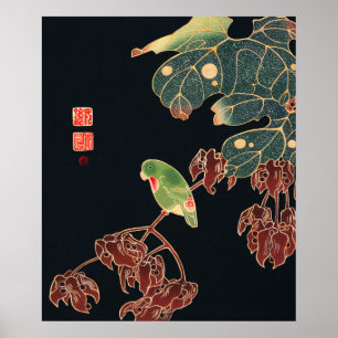 Der Sittich von Ito Jakuchu Japanische Vogelkunst Poster
