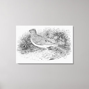 Der Skylark Leinwanddruck