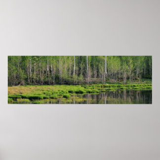 Der Smaragdwald Poster