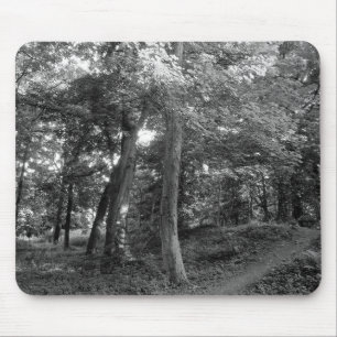 Der Sommer im Wald Mousepad
