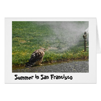 Der Sommer in der Stadt