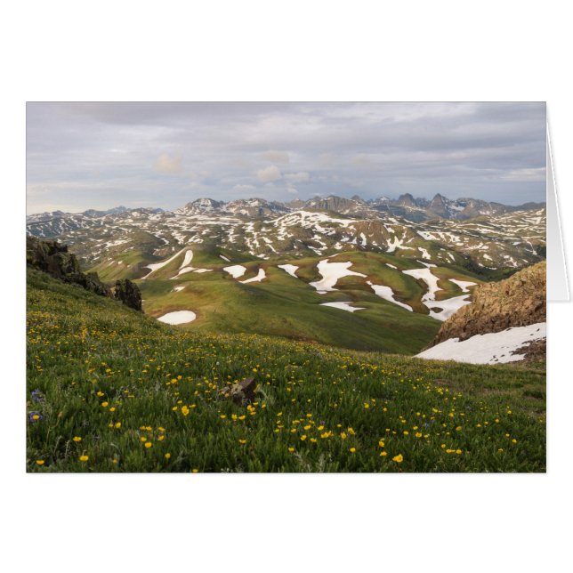 Der Sommer in San Juans (Vorderseite (Horizontal))