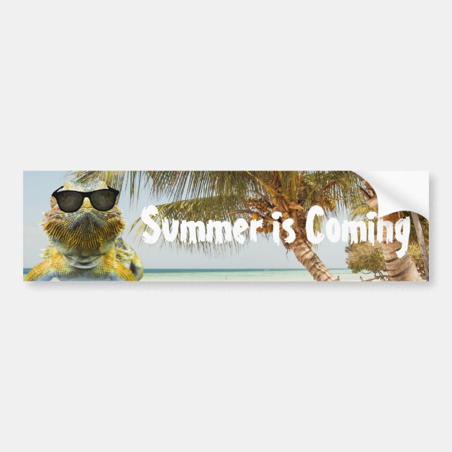 Der Sommer kommt Autoaufkleber (Vorne)