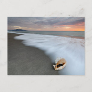 Der Sonnenaufgang am Strand und die Muschel Postkarte