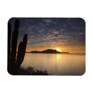 Der Sonnenaufgang über der Isla Danzante im Golf v Magnet