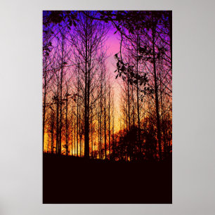 Der Sonnenuntergang durch die Bäume hat sich verän Poster