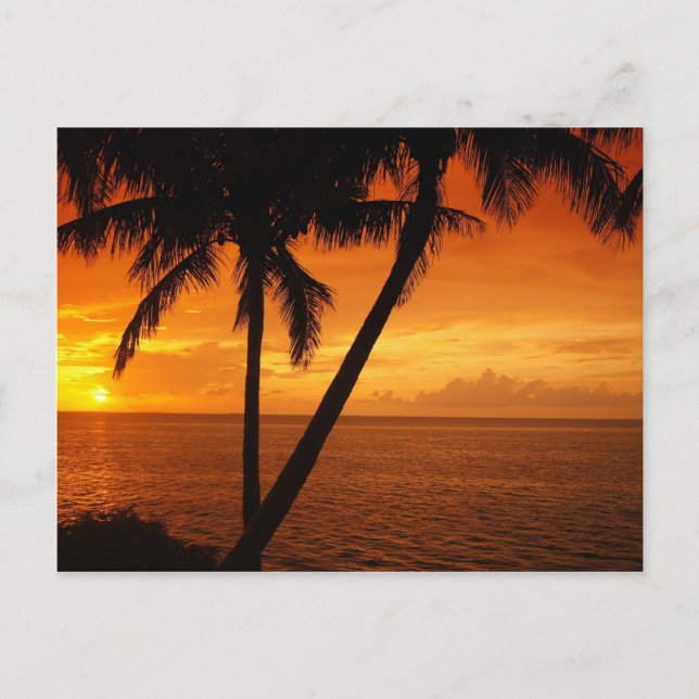 Der Sonnenuntergang Florida-Schlüssels Postkarte (Vorderseite)