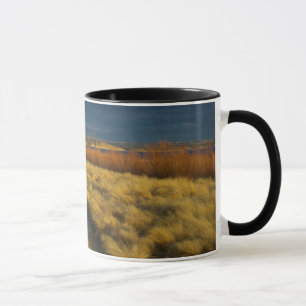 Der Sonnenuntergang hebt die rote Rinde von Sträuc Tasse