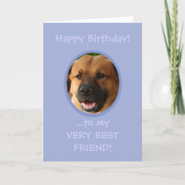 Der sonnige Geburtstag vom Hund bis zum Besitzer d Karte