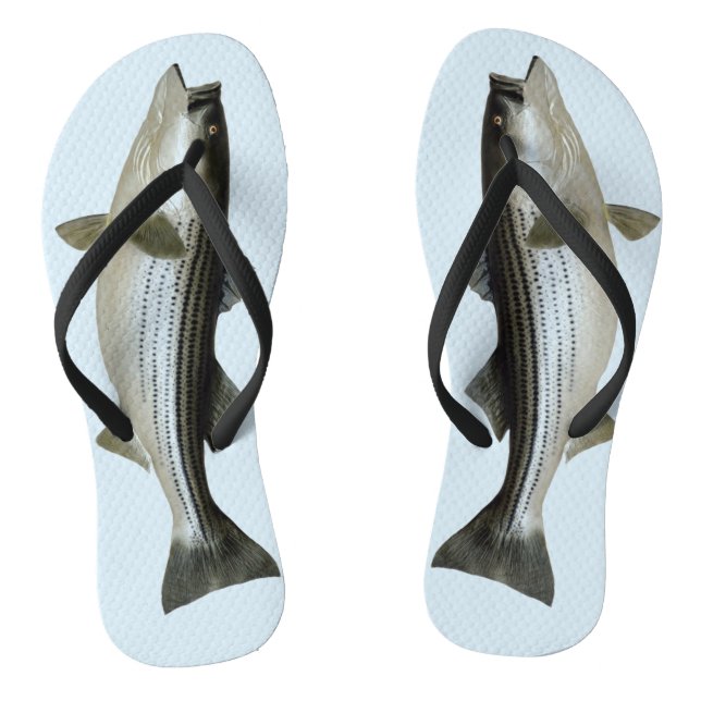 Der sonnige Streifenbarsch für den Fischer Flip Flops (Fußbett)
