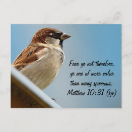 Der Sparrow Postkarte