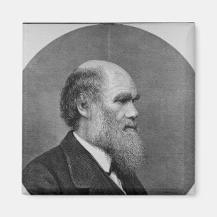 Der späte Herr C.R. Darwin, FRS, LLD Magnet