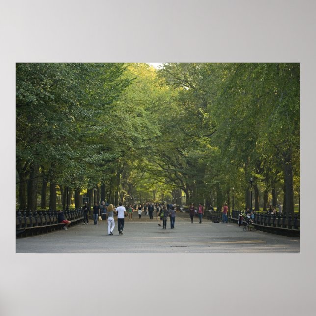 Der späte Sommer der Mall Poster (Vorne)