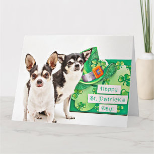 Der St. Patrick's Day Chihuahua Karte