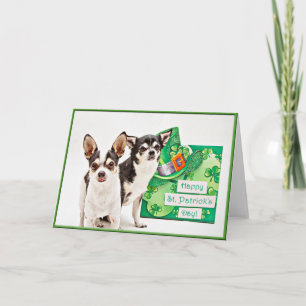 Der St. Patrick's Day Chihuahua Karte