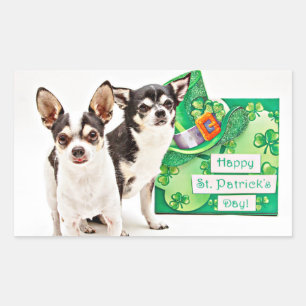 Der St. Patrick's Day Chihuahua Rechteckiger Aufkleber