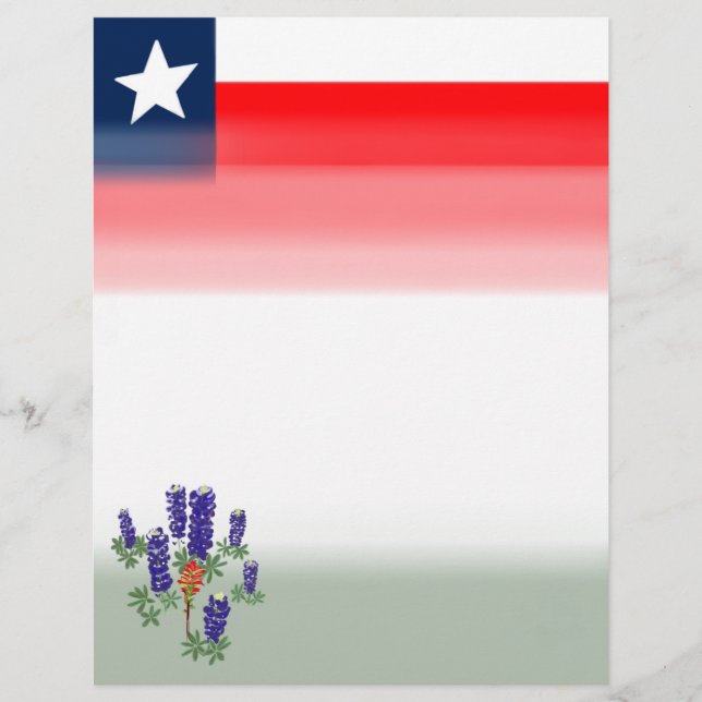 Der Staat "Lone Star" (Vorderseite)