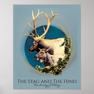 Der Stag und die Hinten Poster