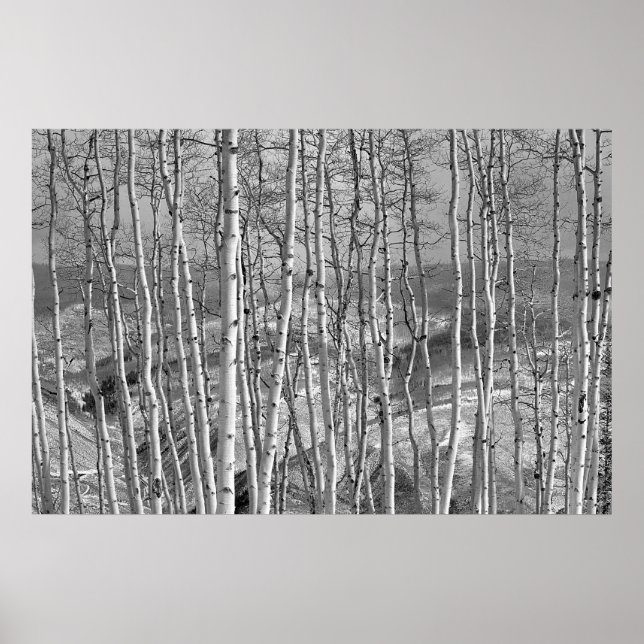 Der Stand in Weiß Poster (Vorne)