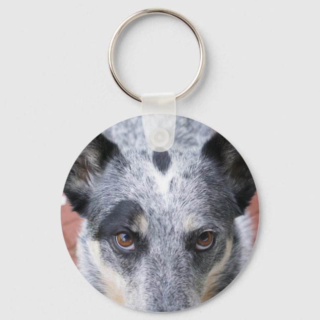 Der Stare Down - ein Cowdog-Look Schlüsselanhänger (Vorderseite)