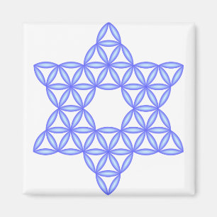 Der Stern des Lebens - Heilige Formen Magnet