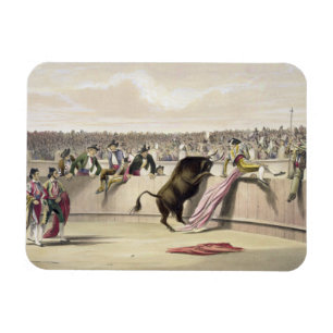Der Stier, der die Sperren, 1865 (Farbe, springt Magnet