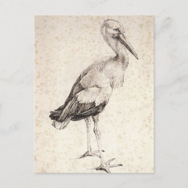 Der Storch von Albrecht Durer Postkarte (Vorderseite)