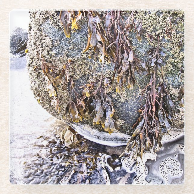 DER STRAND GLASUNTERSETZER (Vorderseite)