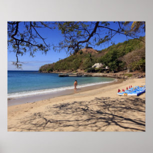Der Strand im Pigeon Island Nationalpark Poster