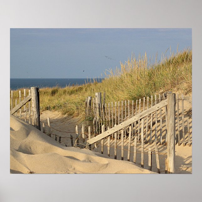Der Strand in den Dünen Poster (Vorne)
