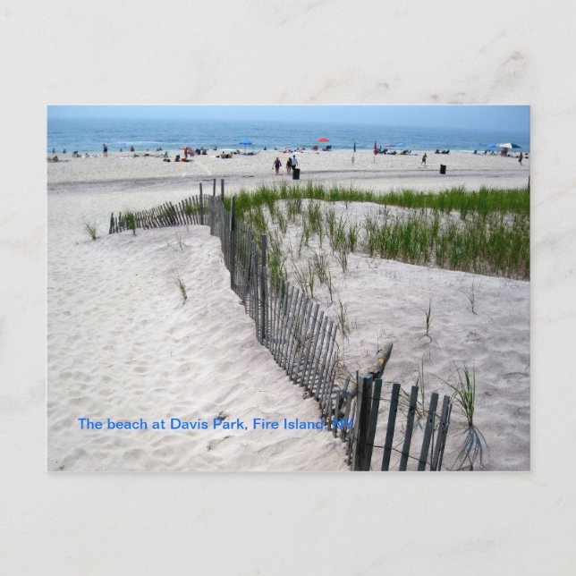 Der Strand von Davis Park Postkarte (Vorderseite)