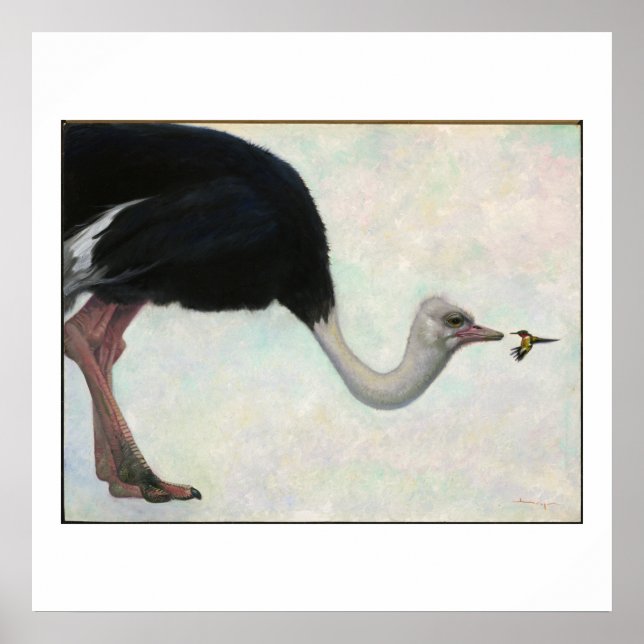 Der Strauß und der Hummingvogel von Bryn Barnard Poster (Vorne)
