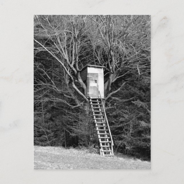 Der Stuhl des Jägers Postkarte (Vorderseite)