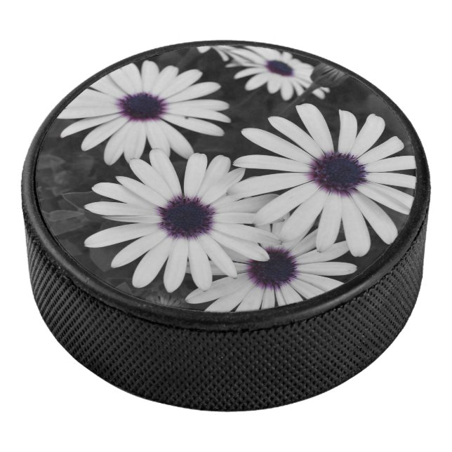 Der subtile Kontrast der Natur Eishockey Puck (3/4)
