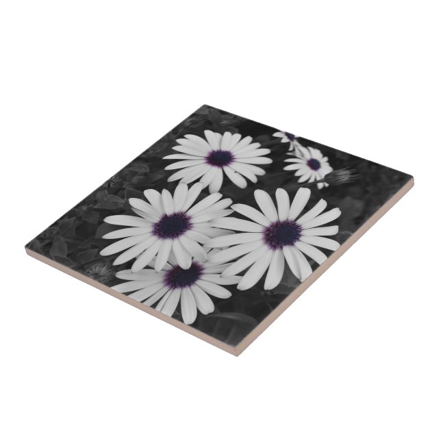 Der subtile Kontrast der Natur Fliese (Seite)