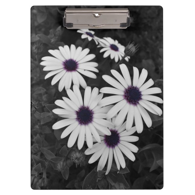 Der subtile Kontrast der Natur Klemmbrett (Vorderseite)