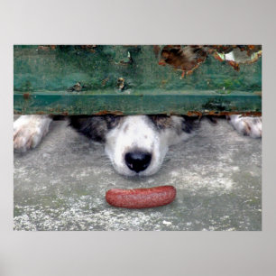Der süße Duft des Erfolges....Fast Poster