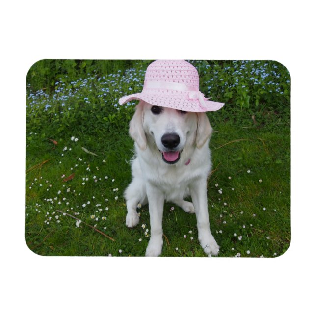 Der süßeste Hund der Welt Magnet (Horizontal)