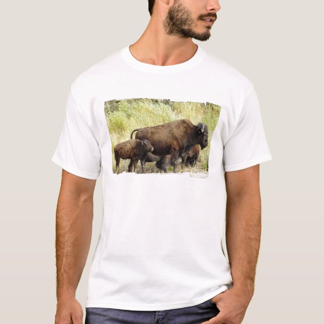 Der T - Shirt der durchstreifenden Büffel-Männer (Vorderseite)