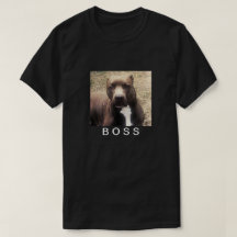 Der T - Shirt der Pitbull Haustier-Foto
