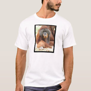 Der T - Shirt der Pongo-Orang-Utan Affen-Männer