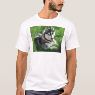 Der T - Shirt der sibirischer