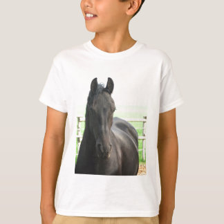 Der T - Shirt des friesisches Pferdekindes