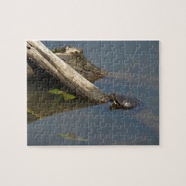 Der Tag der Schildkröte (Horizontal)