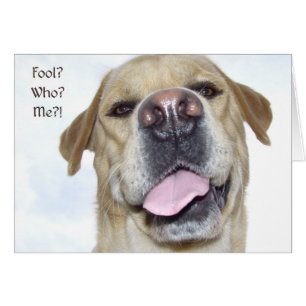 Der Tag des Aprilscherzes