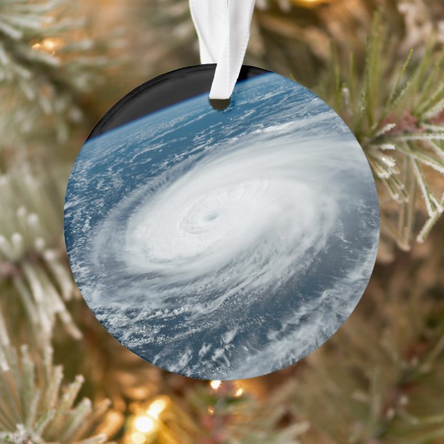 Der Taifun Hinnamnor. Ornament (Baum)