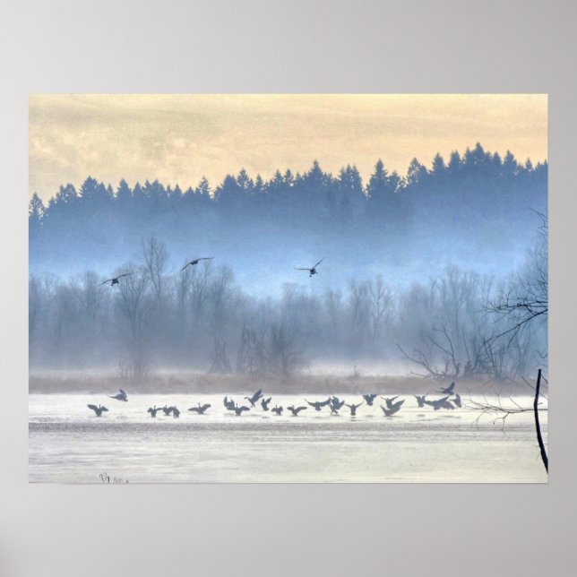 Der Tanz der Enten1 Poster (Vorne)